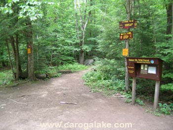 Kane Mountain Trail Head