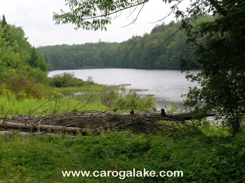 Stewart Landing Canada Lake 17