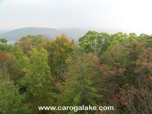 Kane Mountain Fire Tower Trail 88