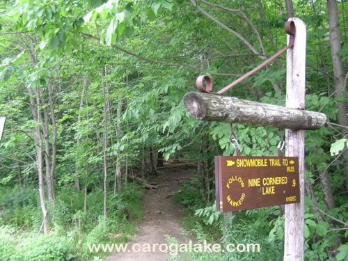 Nine Cornered Lake Trail 01