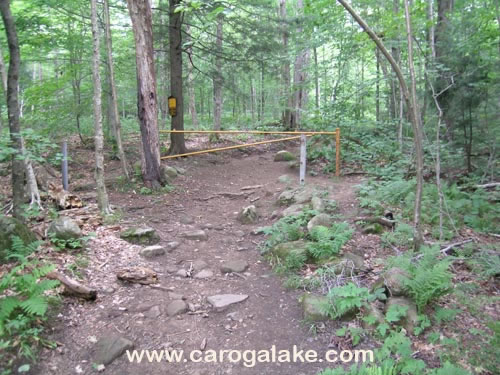 Nine Cornered Lake Trail 03
