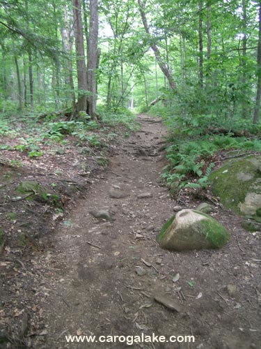 Nine Cornered Lake Trail 04