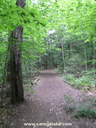 Nine Cornered Lake Trail 06