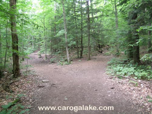 Nine Cornered Lake Trail 07