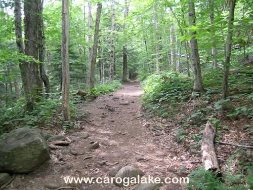 Nine Cornered Lake Trail 08