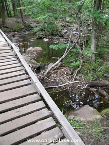 Nine Cornered Lake Trail 11