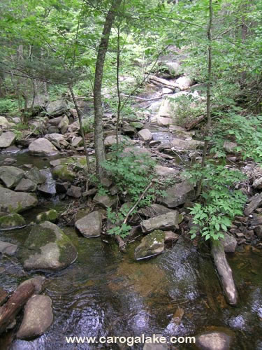 Nine Cornered Lake Trail 12