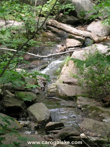 Nine Cornered Lake Trail 13