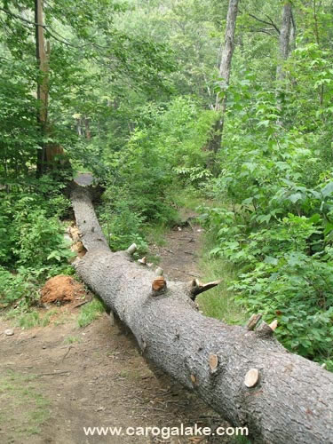 Nine Cornered Lake Trail 14