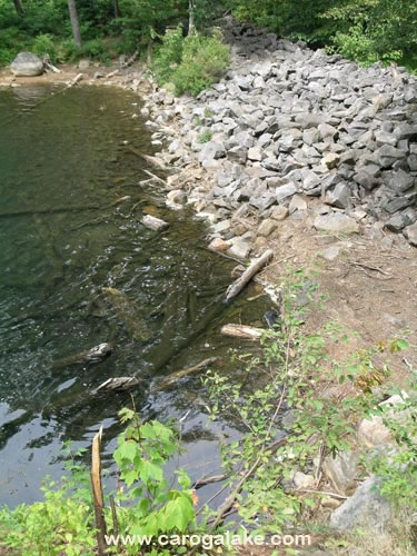 Nine Cornered Lake Trail 15