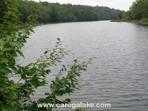 Nine Cornered Lake Trail 20