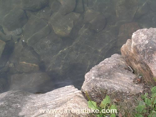 Nine Cornered Lake Trail 21
