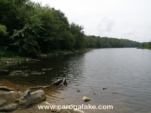Nine Cornered Lake Trail 24