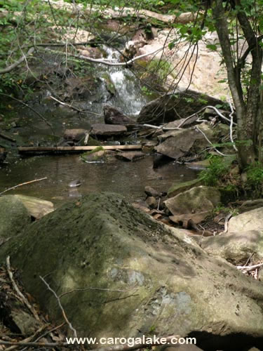 Nine Cornered Lake Trail 26
