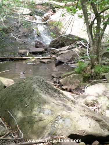 Nine Cornered Lake Trail 27