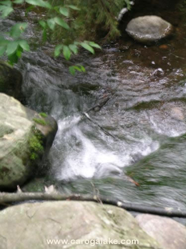 Nine Cornered Lake Trail 29
