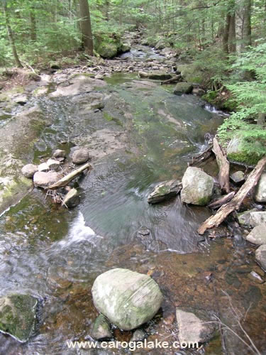 Nine Cornered Lake Trail 30