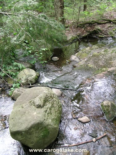 Nine Cornered Lake Trail 31