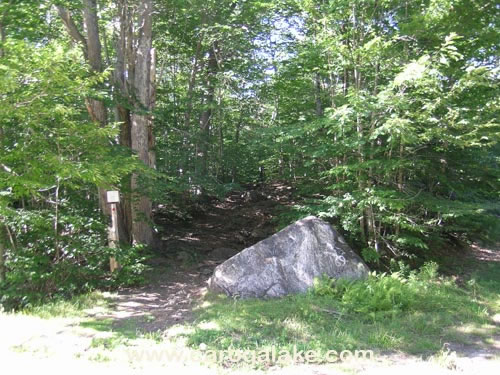 Peck's Lake Nature Trail 04