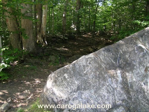 Peck's Lake Nature Trail 05