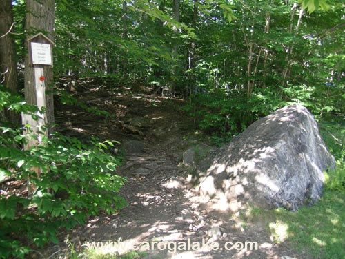 Peck's Lake Nature Trail 06