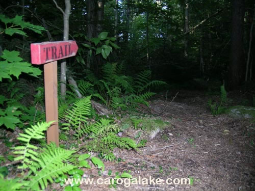 Peck's Lake Nature Trail 09