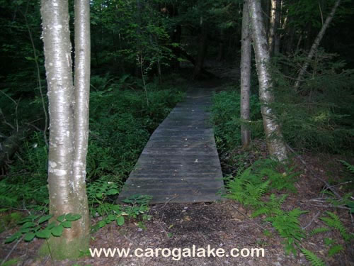 Peck's Lake Nature Trail 10