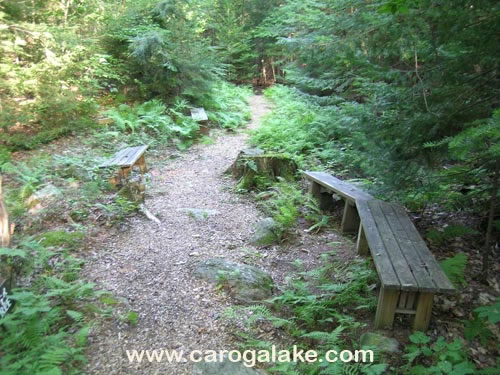 Peck's Lake Nature Trail 14