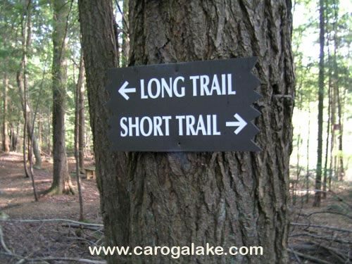 Peck's Lake Nature Trail 17