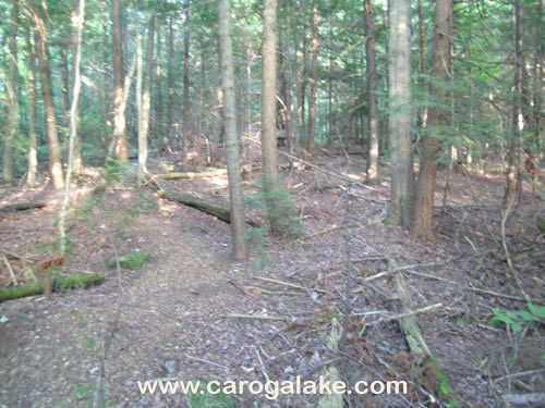 Peck's Lake Nature Trail 18