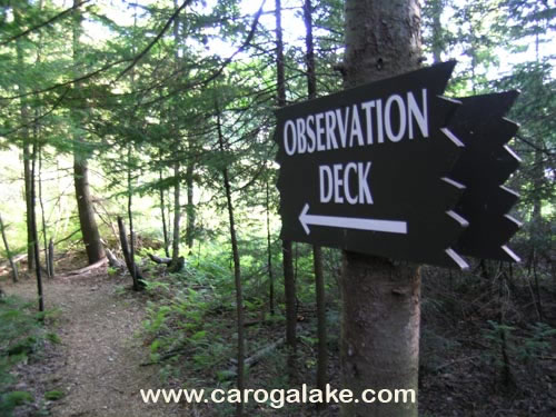 Peck's Lake Nature Trail 19