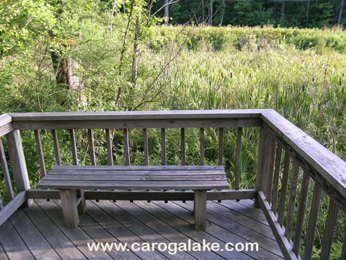 Peck's Lake Nature Trail 20