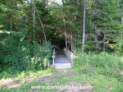 Peck's Lake Nature Trail 26