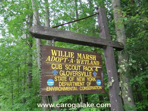 Willie Marsh Trail 01
