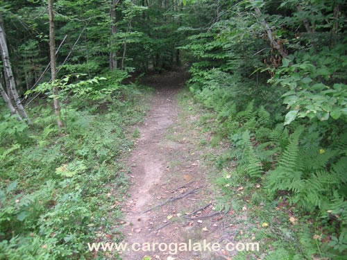 Willie Marsh Trail 03
