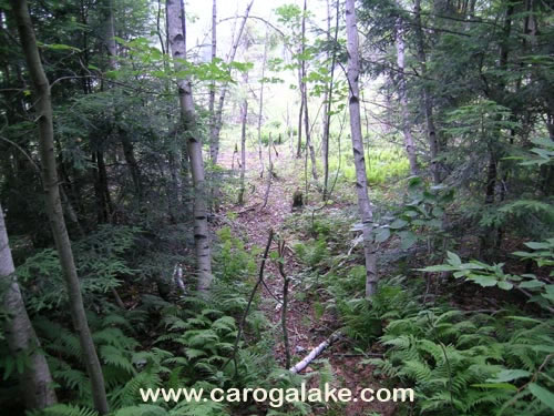 Willie Marsh Trail 04