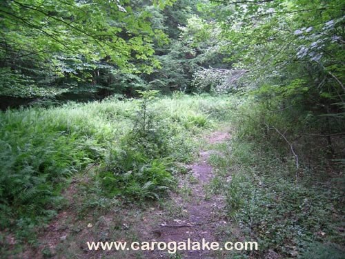 Willie Marsh Trail 06