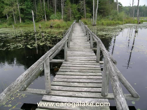 Willie Marsh Trail 12