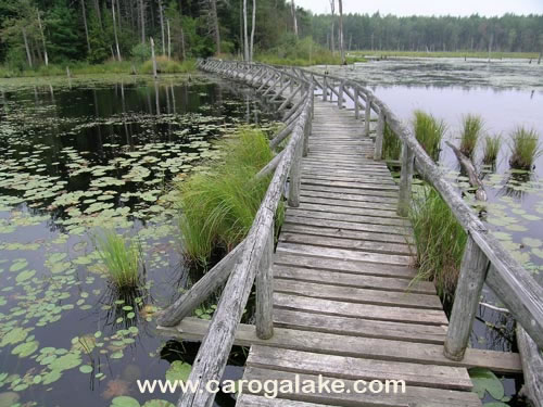 Willie Marsh Trail 13