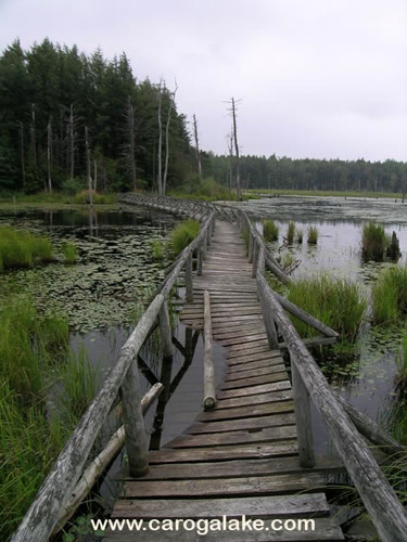 Willie Marsh Trail 16