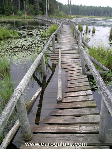 Willie Marsh Trail 17