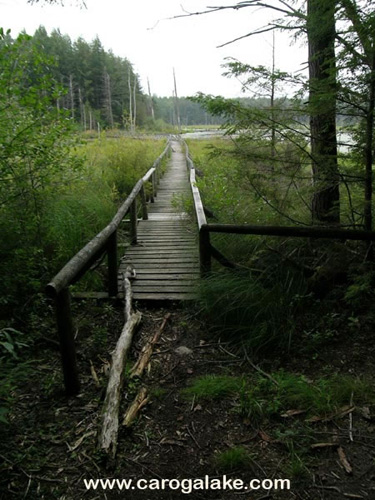 Willie Marsh Trail 18