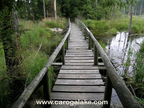 Willie Marsh Trail 19