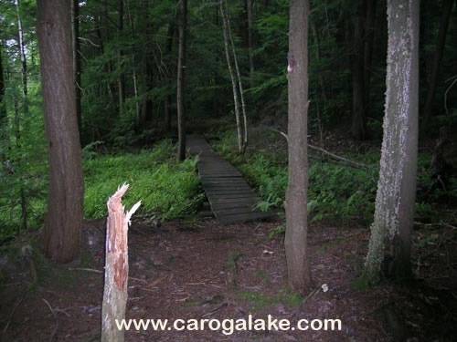 Willie Marsh Trail 20