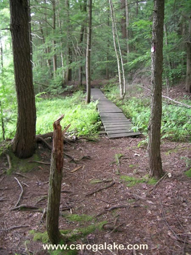 Willie Marsh Trail 21