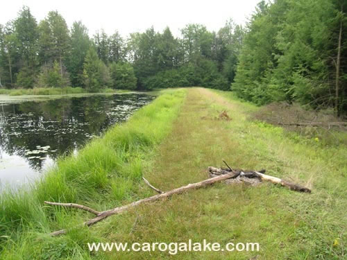 Willie Marsh Trail 23