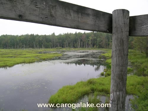Willie Marsh Trail 27