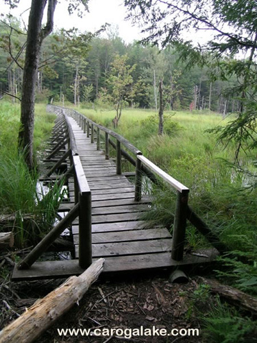 Willie Marsh Trail 30